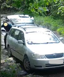 Katowice. Wyrzucał śmieci, uwieczniła to fotopułapka. Musi zapłacić 1 tys. zł