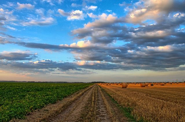 Nadchodzą ciężkie czasy dla polskiego rolnictwa