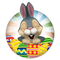 Easter Bunny Run icon