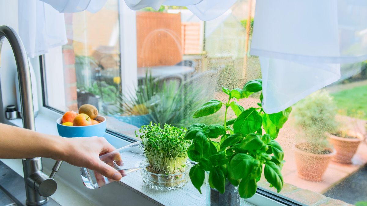 Kobieta podlewa rośliny w kuchni