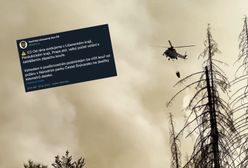 "Czeska Szwajcaria" w ogniu. Wydano ostrzeżenie dla mieszkańców Pragi