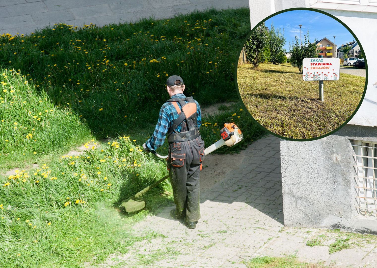 Mieli dość zakazów na osiedlu. Sprawy wzięli w swoje ręce