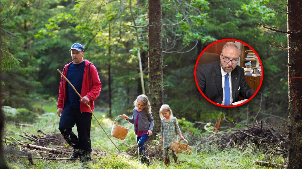 Wystarczy zjeść jedną leśną jagodę, na której znajdują się jaja tasiemca, by zarazić się pasożytem