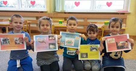 Przedszkolaczki obchodziły Światowy Dzień Kota
