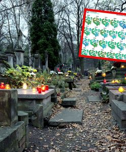 Zmiana na Wszystkich Świętych. Pogoda będzie inna niż dotychczas