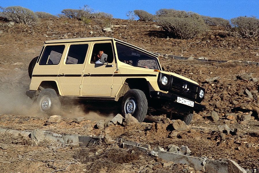 prawdziwek jak w mordę strzelił