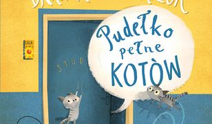 Pudełko pełne kotów - Klinika zdrowego chomika