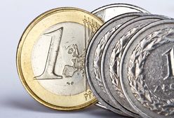 Polska waluta pod presją. Europejski Bank Centralny rozdaje karty