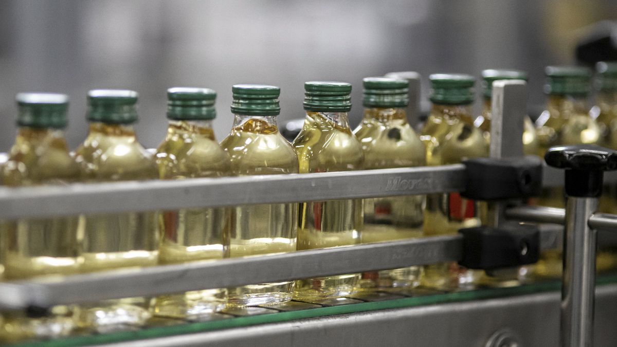 Na zdjęciu tzw. małpki na taśmie produkcyjnej