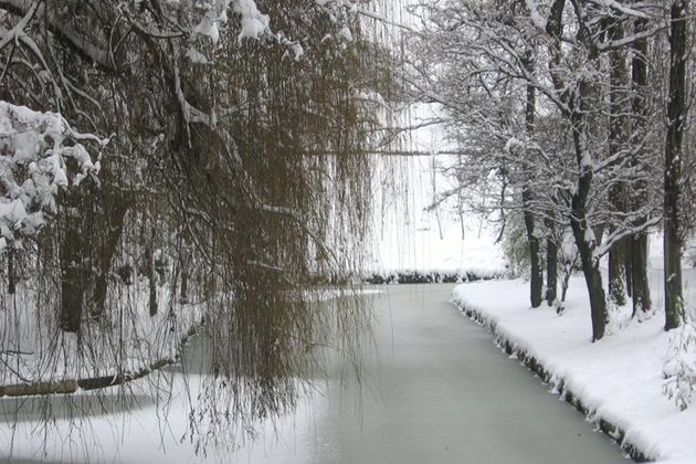 Kolejny mroźny dzień