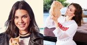 Kendall Jenner i Bella Hadid pozują z kotkami