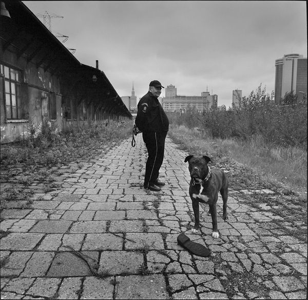 „Dog Stories" - pieskie życie na czarno-białych fotografiach Roberta Kresy 10