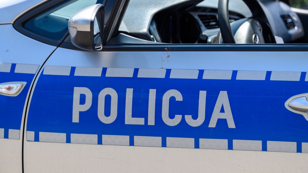 policja, napisz, oznaczenie, auto, niebieski, prawo, kara, mandat, patrol, symbol, prawo karne, wykroczenie