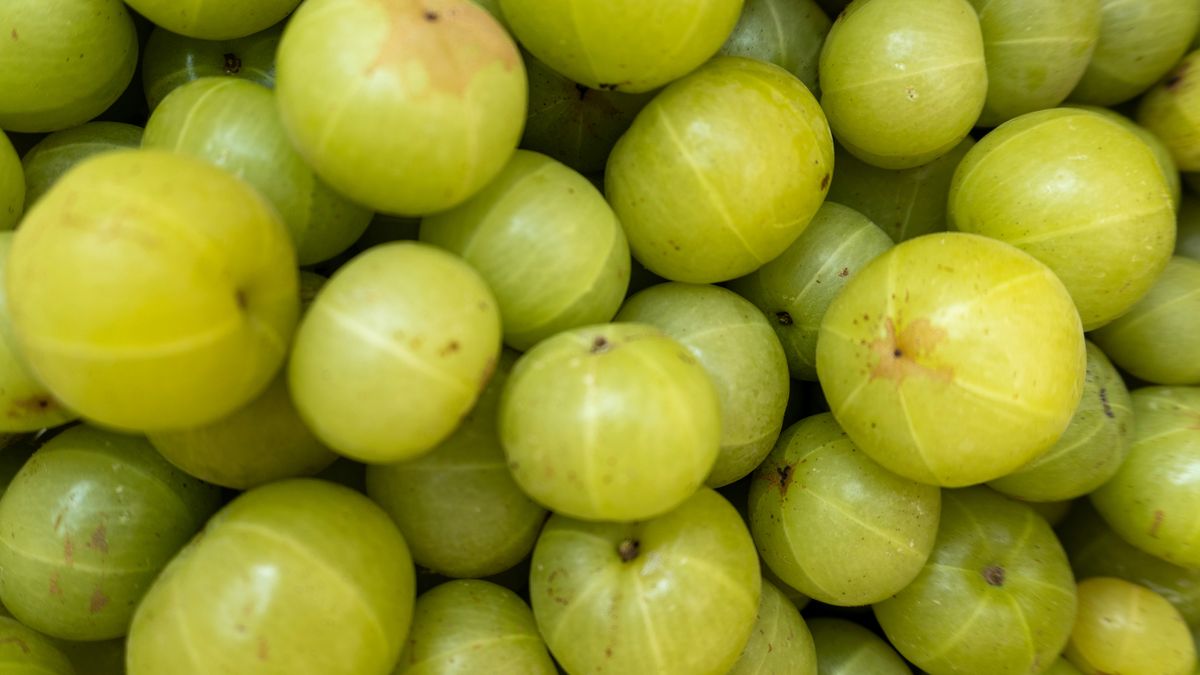 Amla
