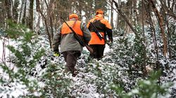 Sejm zagłosował w sprawie myśliwych. Decyzja została podjęta