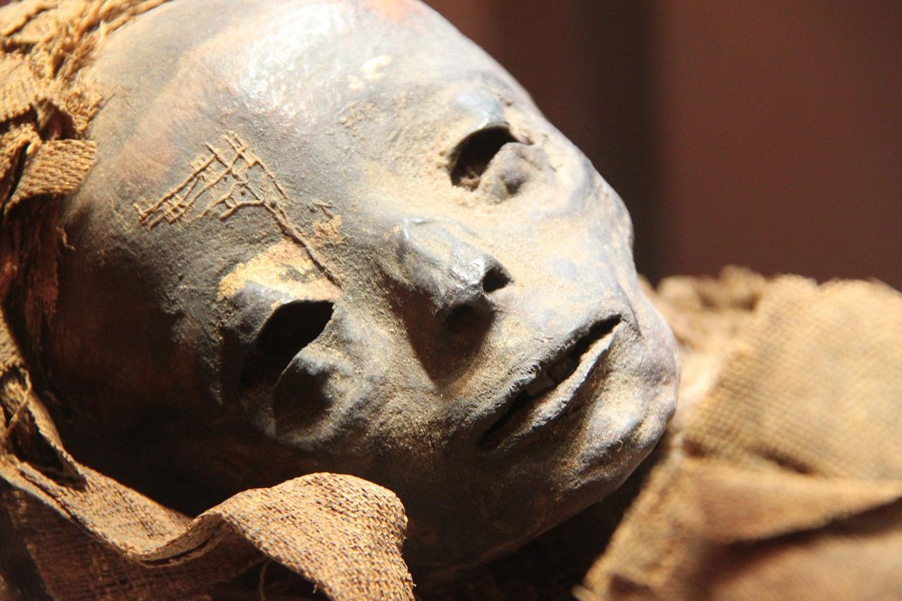 Naukowcy odtworzyli twarze starożytnych mumii - zdjęcie ilustracyjne 