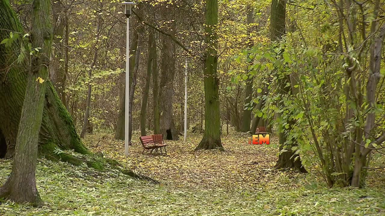 Jesienna chandra – czym się objawia i jak z nią walczyć?