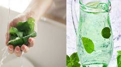 Dodaj bazylię do wody. Zobacz, co się stanie