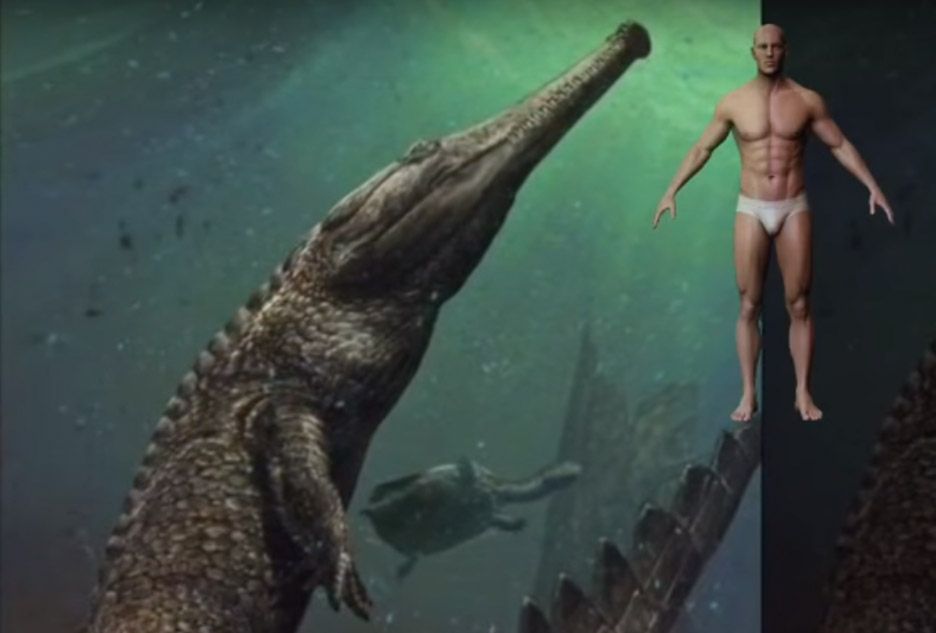 #enigma Krododyl wielki jak autobus. Odkryli prawdziwe monstrum