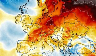 Kiedy przyjdzie prawdziwa zima? Meteorolodzy zaskoczeni, nawet w styczniu może ominąć Polskę