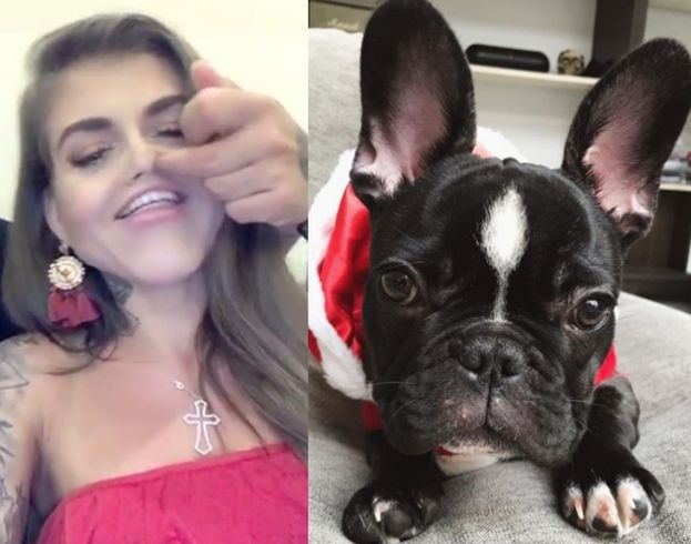 Deynn i Majewski rozpaczliwie próbują powrócić. Założyli Instagram... własnemu psu. "Ku*wa przestańcie męczyć go zdjęciami!"