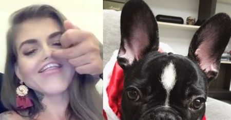 Deynn i Majewski rozpaczliwie próbują powrócić. Założyli Instagram... własnemu psu. "Ku*wa przestańcie męczyć go zdjęciami!"