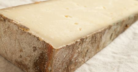 Ser Fontina