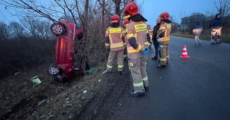 Strażacy nie dowierzali. W taki sposób peugeot zakończył podróż