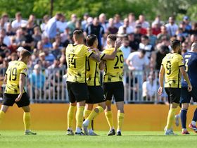 Siedem goli. Szalona gonitwa Wieczystej