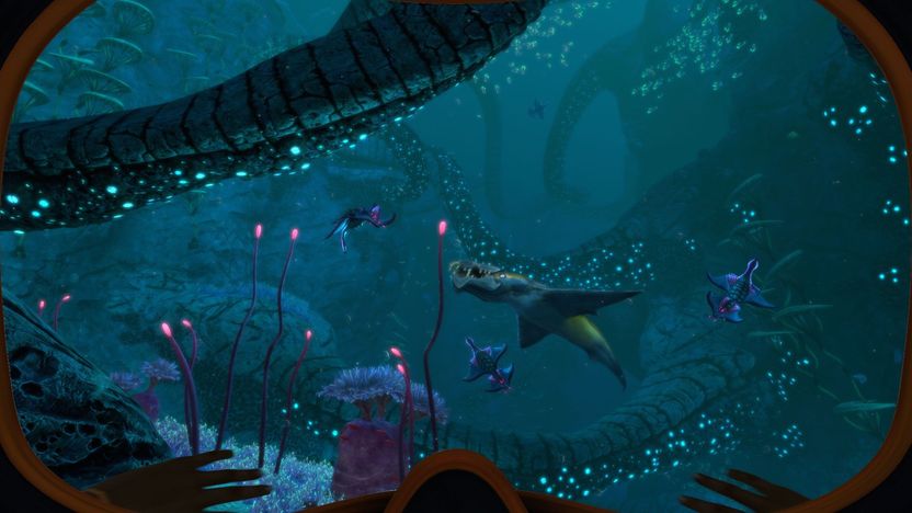 Subnautica: Below Zero 5