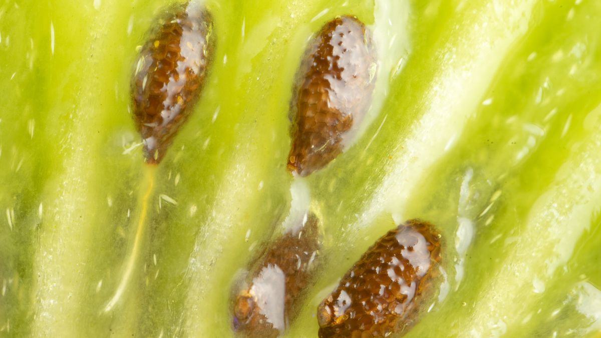 Warto jeść, gdy masz problemy z zasypianiem