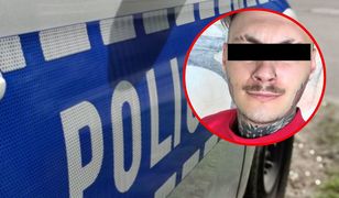 "Crawly" już w Ukrainie. Ma zakaz wjazdu do strefy Schengen