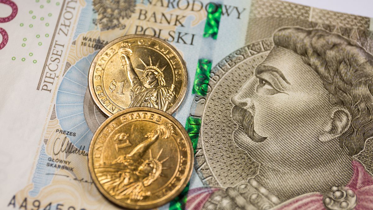POLAND - 2022/03/09: In this photo illustration, the reverse of the United States 1 dollar coins with Statue of Liberty and Polish 500 zloty banknote are seen displayed. (Photo Illustration by Karol Serewis/SOPA Images/LightRocket via Getty Images)