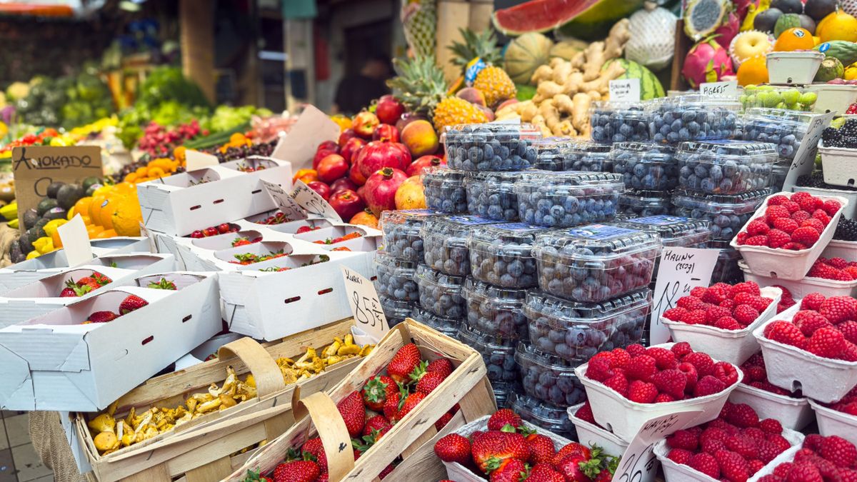 Czesi kupują w Polsce borówki w dużych kartonach 
