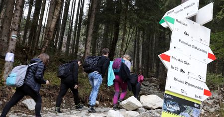 Morskie Oko jak centrum handlowe: są limity dla wchodzących. A dla kierowców niepokornych srogie kary
