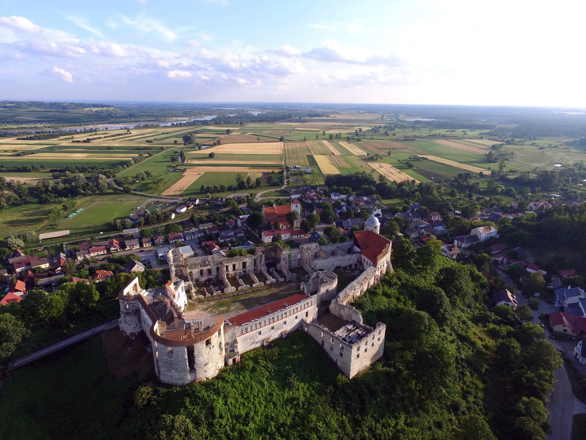 Zamek w Janowcu