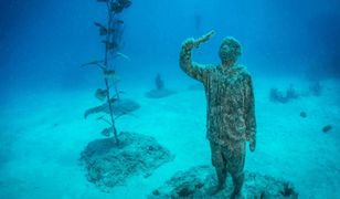Australia. Powstaje niezwykłe podwodne muzeum