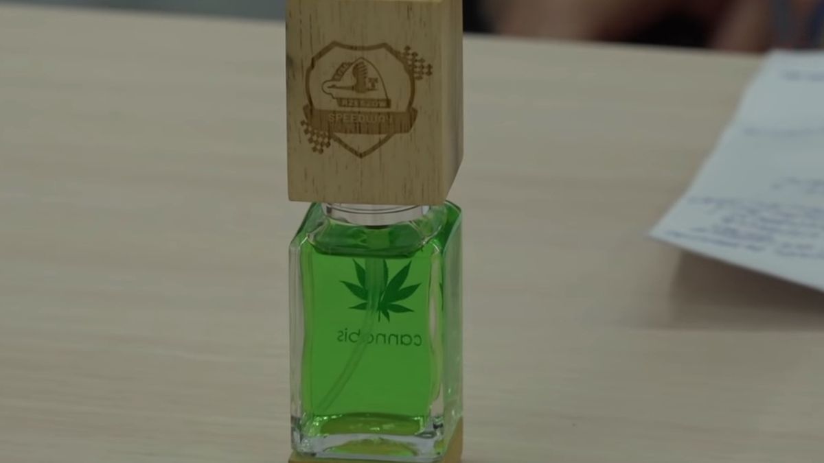 Zdjęcie okładkowe artykułu: YouTube / Stal Rzeszow TV / Kolejny biznes Nawrockiego. Perfumy na bazie marihuany