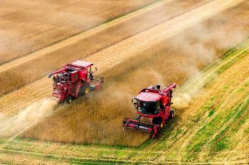 Lasery zamiast oprysków. Chińska technologia wjeżdża na europejskie pola