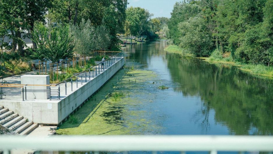 Wrocław. Zbliża się Dzień Trójkąta. Ruszyły zapisy na część wydarzeń