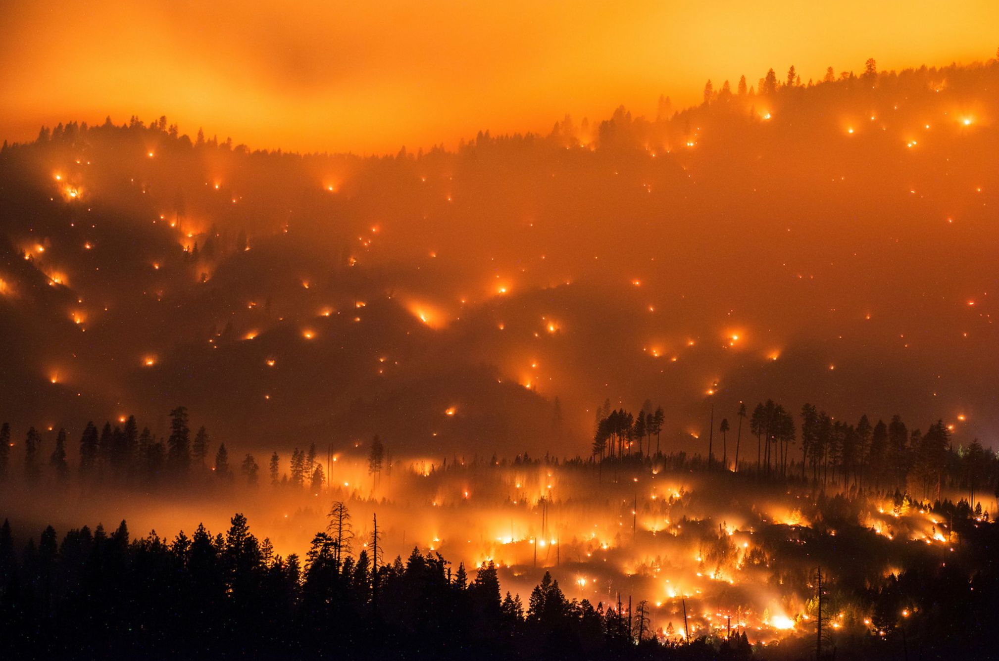Dla fotografa płonący las może być piękny 14