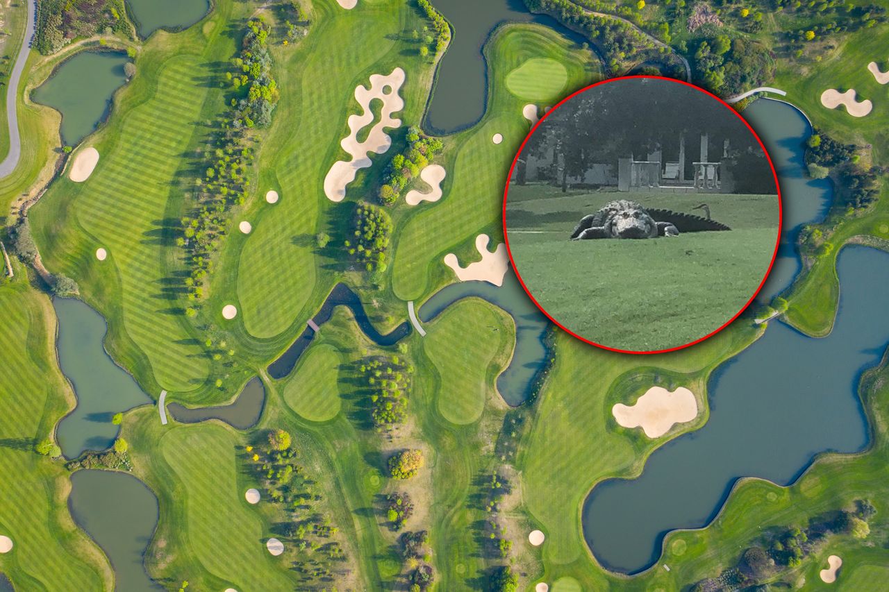 Jurassic Park in Florida? Massive alligator spotted on golf course stirs up social media