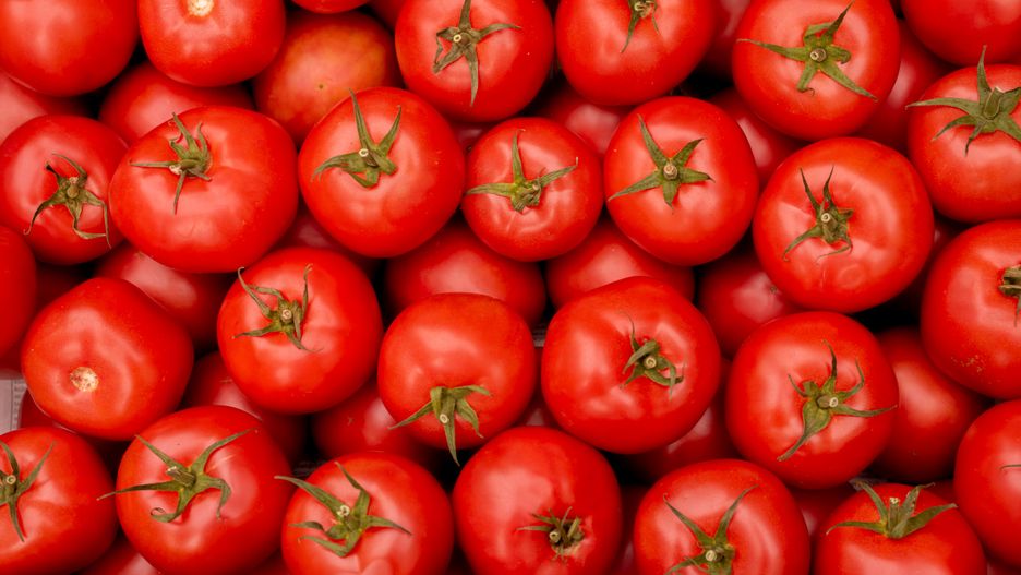 pomidor, pomidory, tomato, warzywa, warzywo, gospodarstwo, zdrowie, weganizm, pole, zbiory, lato, producent, farmer, targ, bazar, sprzedaż, naturalne, dobre, plony, owoce, sad, oranie, vegetables, vegetable, farm, health, vegan, field, harvest, summer, autumn, producer, market, bazaar, retail, natural, good, crops, fruits, orchard, plowing, fresh, red, jedzenie
