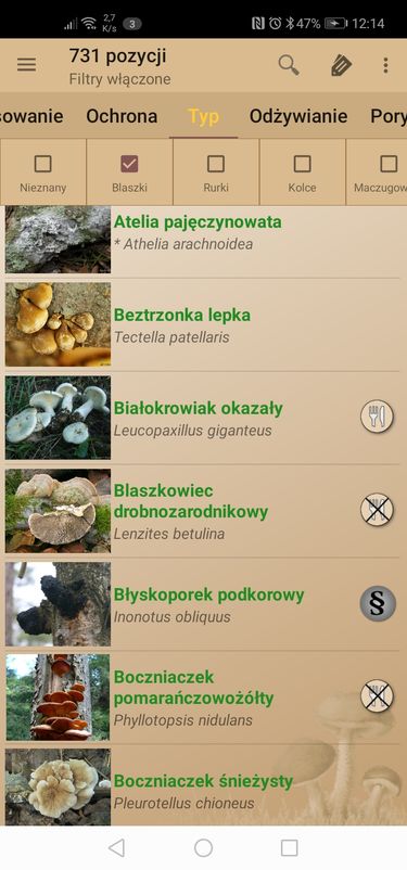 Atlas Grzybów: wszystkie grzyby z „blaszkami”