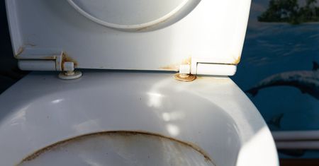 Wrzuć do ubikacji. Wyżre cały brud w pięć minut