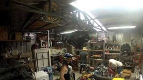 Harlem Shake w wykonaniu Darcy'ego Warda (wideo)