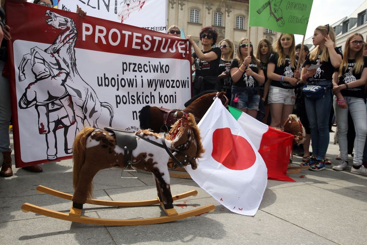 Protest przeciwko wywozowi polskich koni do japońskich rzeźni