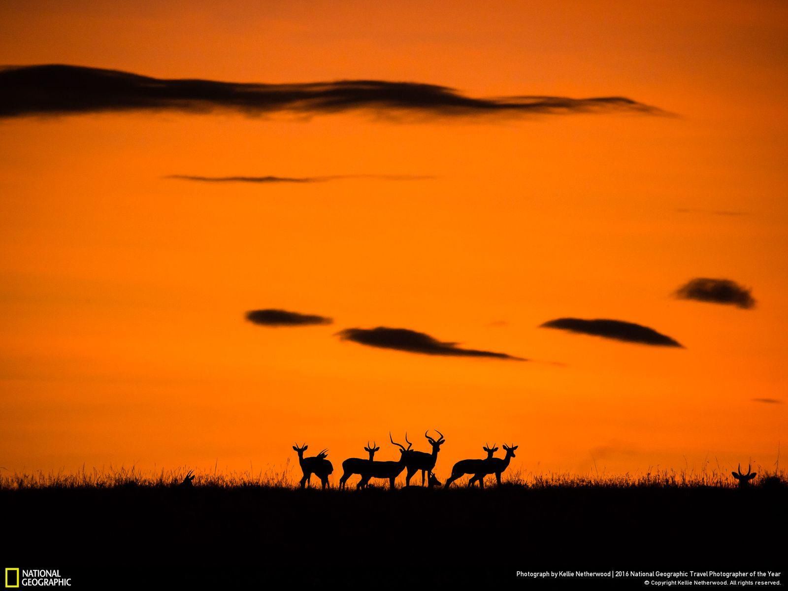 Najciekawsze prace konkursu National Geographic Travel Photographer of the Year 2016 5
