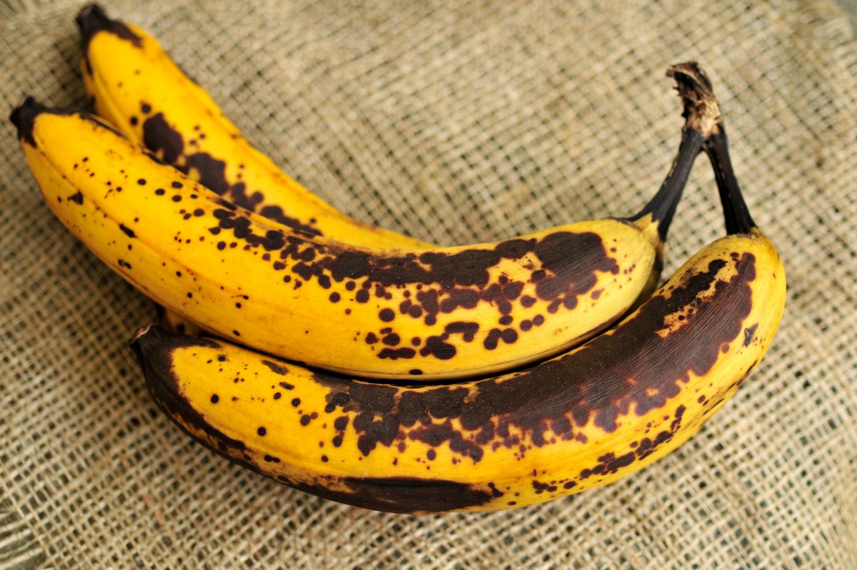 Improper storage of bananas affects their appearance.