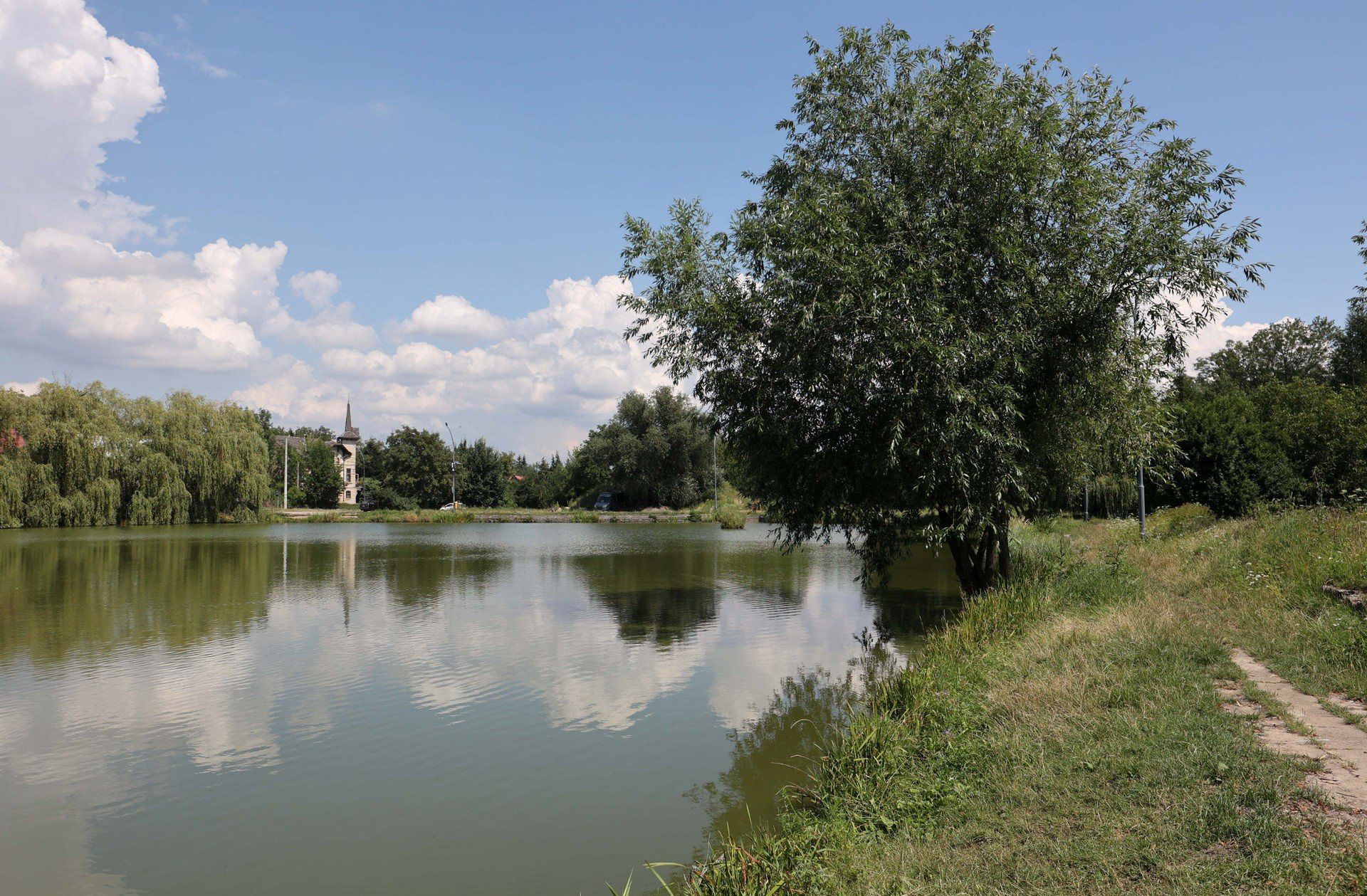 Staw Browarny ma ok. 1 ha powierzchni. Położony jest między ulicami Kraszewskiego i Cetnarskiego.